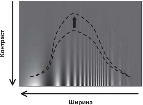 Иллюстрация к книге — Удивительные истории о мозге, или рекорды памяти коноплянки [i_010.jpg]