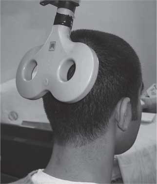 Иллюстрация к книге — Удивительные истории о мозге, или рекорды памяти коноплянки [i_017.jpg]