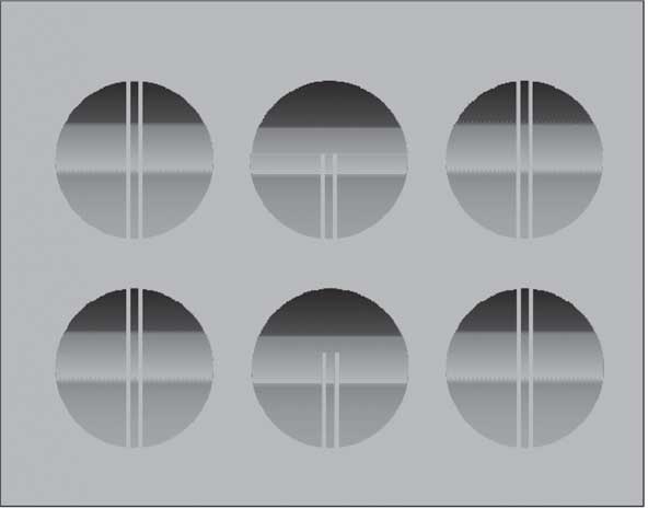 Иллюстрация к книге — Удивительные истории о мозге, или рекорды памяти коноплянки [i_022.jpg]