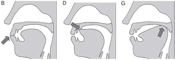 Иллюстрация к книге — Удивительные истории о мозге, или рекорды памяти коноплянки [i_023.jpg]