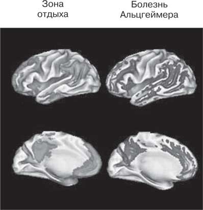 Иллюстрация к книге — Удивительные истории о мозге, или рекорды памяти коноплянки [i_031.jpg]