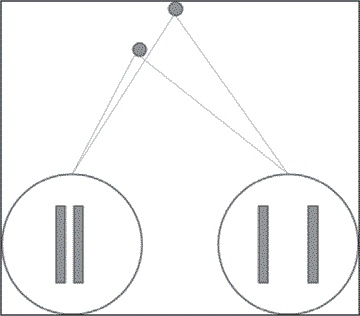 Иллюстрация к книге — Удивительные истории о мозге, или рекорды памяти коноплянки [i_033.jpg]