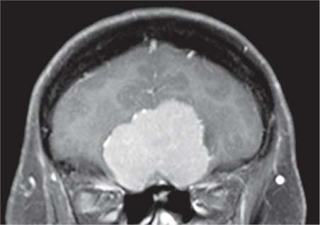 Иллюстрация к книге — Удивительные истории о мозге, или рекорды памяти коноплянки [i_035.jpg]