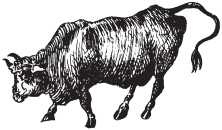 Иллюстрация к книге — Звезды и судьбы 2017. Самый полный гороскоп [i_015.jpg]