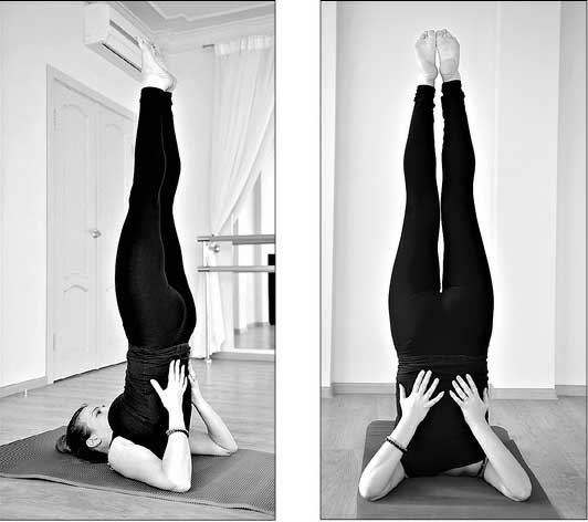 Иллюстрация к книге — Система "ХОди и ХОрошей" [i_004.jpg]