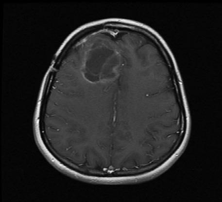 Иллюстрация к книге — Завтра начинается сегодня. Как воспользоваться достижениями anti-age медицины [i_009.jpg]