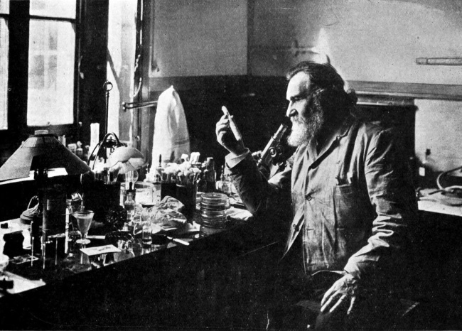 Иллюстрация к книге — Завтра начинается сегодня. Как воспользоваться достижениями anti-age медицины [i_011.jpg]