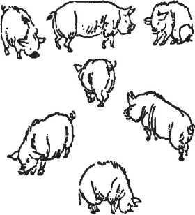 Иллюстрация к книге — Головоломки. Фокусы. Задачи. Игры. Развлечения [i_048.jpg]