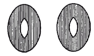 Иллюстрация к книге — Головоломки. Фокусы. Задачи. Игры. Развлечения [i_055.jpg]