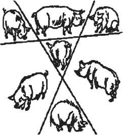 Иллюстрация к книге — Головоломки. Фокусы. Задачи. Игры. Развлечения [i_119.jpg]