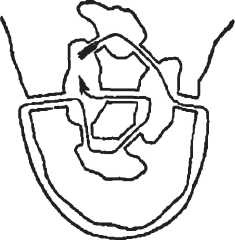 Иллюстрация к книге — Головоломки. Фокусы. Задачи. Игры. Развлечения [i_129.jpg]