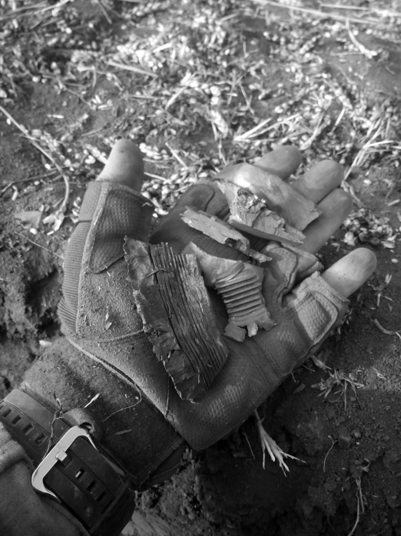 Иллюстрация к книге — Саур-Могила. Военные дневники (сборник) [i_040.jpg]