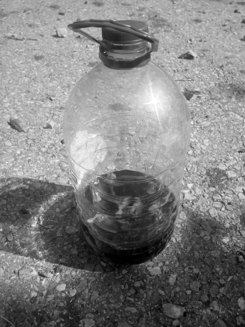 Иллюстрация к книге — Саур-Могила. Военные дневники (сборник) [i_045.jpg]