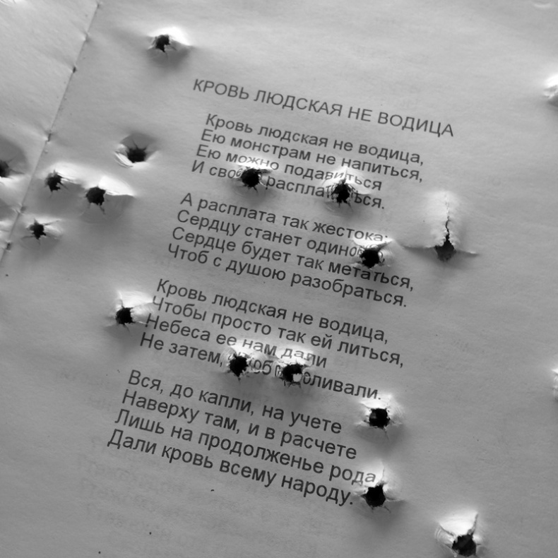 Иллюстрация к книге — Саур-Могила. Военные дневники (сборник) [i_048.jpg]