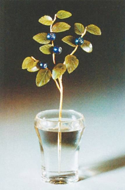 Иллюстрация к книге — Петербургские ювелиры XIX – начала XX в. Династии знаменитых мастеров императорской России [i_100.jpg]