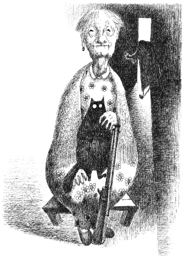 Иллюстрация к книге — Светофор, шушера и другие граждане [i_009.jpg]