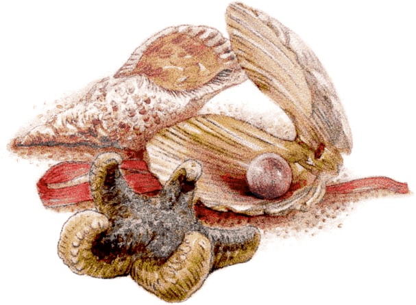 Иллюстрация к книге — Три наследницы короля [i_002.jpg]