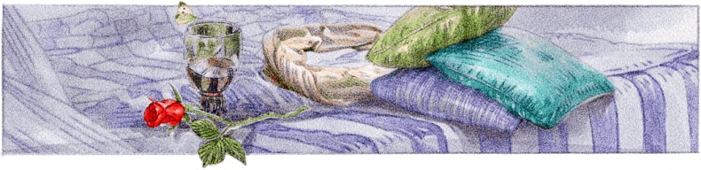 Иллюстрация к книге — Три наследницы короля [i_017.jpg]