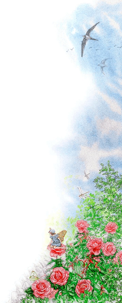 Иллюстрация к книге — Три наследницы короля [i_030.jpg]