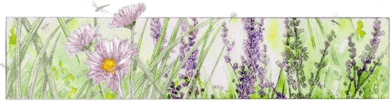 Иллюстрация к книге — Три наследницы короля [i_031.jpg]