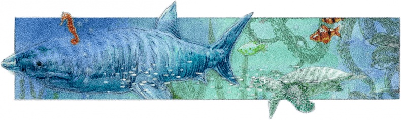 Иллюстрация к книге — Три наследницы короля [i_044.jpg]