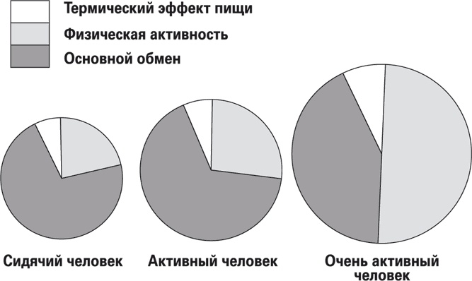 Иллюстрация к книге — Мой лучший друг - желудок. Еда для умных людей [i_010.jpg]