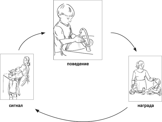 Иллюстрация к книге — Мой лучший друг - желудок. Еда для умных людей [i_029.jpg]
