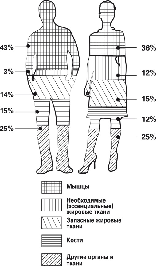 Иллюстрация к книге — Мой лучший друг - желудок. Еда для умных людей [i_034.jpg]