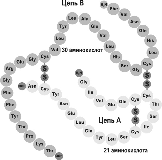 Иллюстрация к книге — Мой лучший друг - желудок. Еда для умных людей [i_045.jpg]