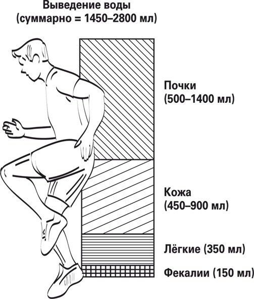Иллюстрация к книге — Мой лучший друг - желудок. Еда для умных людей [i_051.jpg]