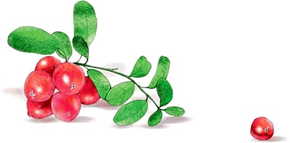 Иллюстрация к книге — Сказка о храбром богатыре Узоне и его возлюбленной Наюн. По мотивам корякской легенды [i_005.jpg]