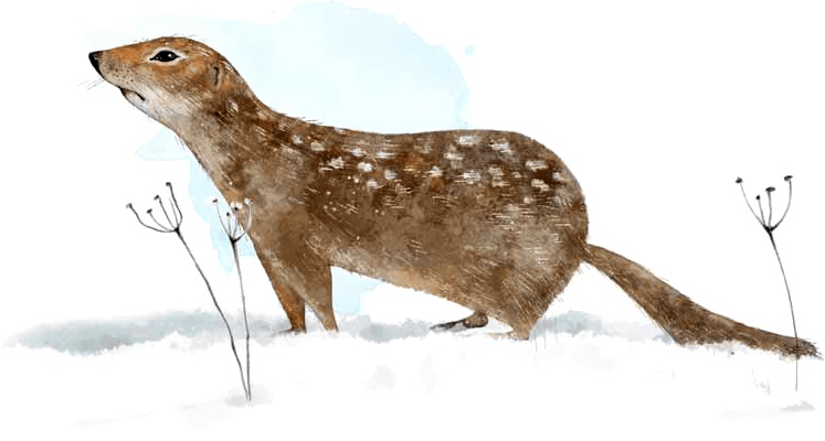 Иллюстрация к книге — Сказка о храбром богатыре Узоне и его возлюбленной Наюн. По мотивам корякской легенды [i_012.jpg]