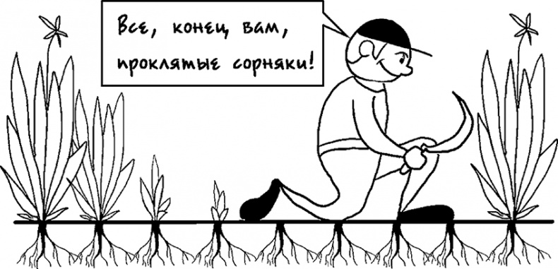 Иллюстрация к книге — Процветание. Пять элементов счастья [i_018.jpg]