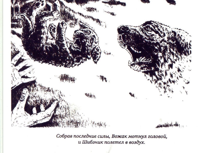 Иллюстрация к книге — Вожак и его друзья [i_011.jpg]