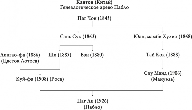 Иллюстрация к книге — Остров бесконечной любви [i_001.jpg]