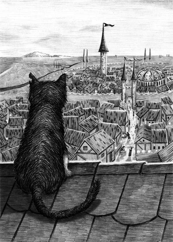 Иллюстрация к книге — Фамильяры. Книга 1. Трое против ведьмы [i_003.jpg]