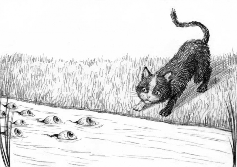 Иллюстрация к книге — Фамильяры. Книга 1. Трое против ведьмы [i_006.jpg]