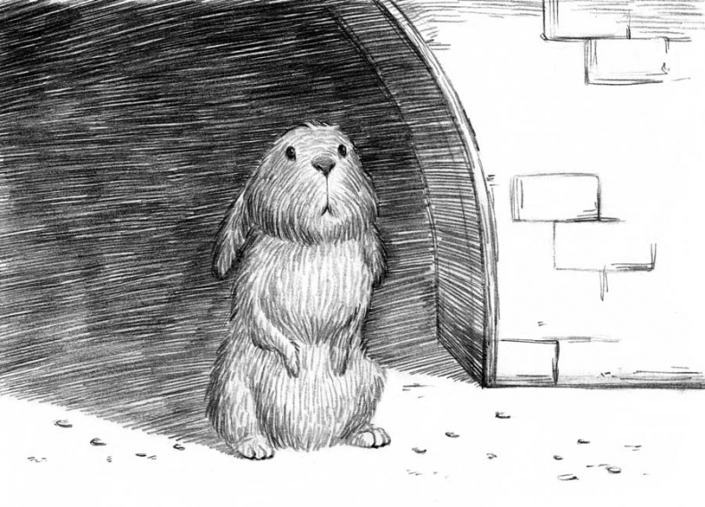 Иллюстрация к книге — Фамильяры. Книга 1. Трое против ведьмы [i_024.jpg]