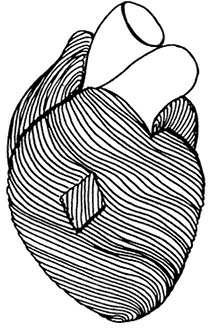 Иллюстрация к книге — Проблемы сердца и органов кровообращения. Как справиться с сердечными недугами [i_003.jpg]