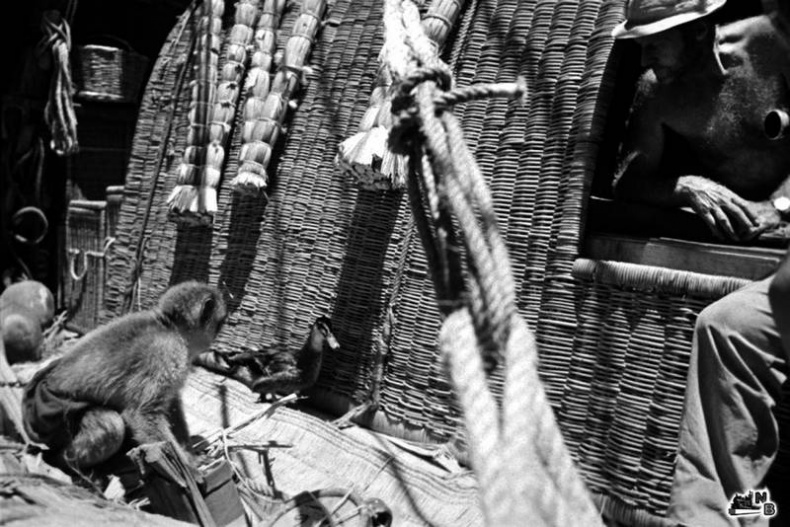 Иллюстрация к книге — С Хейердалом через Атлантику. О силе духа в диких условиях [i_005.jpg]