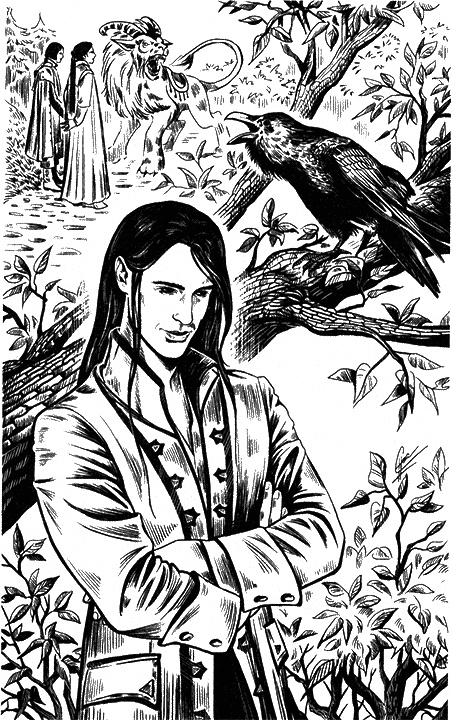 Иллюстрация к книге — Фея для лорда тьмы [i_010.jpg]