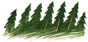 Иллюстрация к книге — Сказки зайца Золотое Ушко [i_004.jpg]