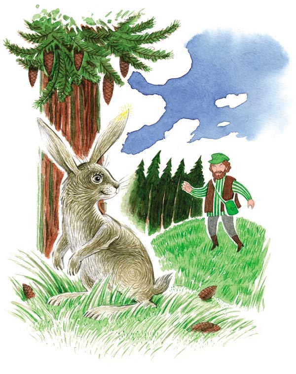Иллюстрация к книге — Сказки зайца Золотое Ушко [i_005.jpg]