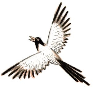 Иллюстрация к книге — Сказки зайца Золотое Ушко [i_010.jpg]