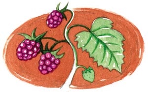 Иллюстрация к книге — Сказки зайца Золотое Ушко [i_011.jpg]