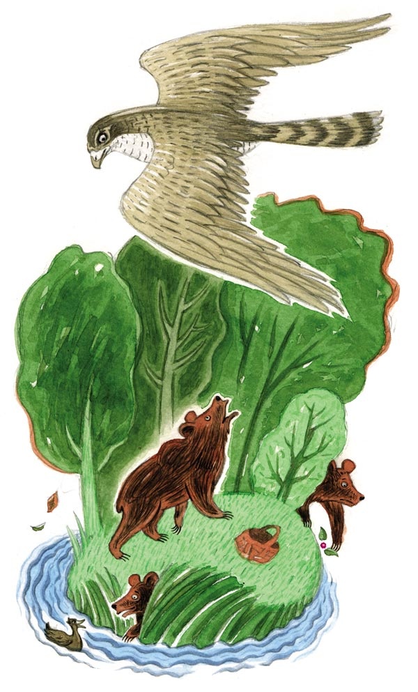 Иллюстрация к книге — Сказки зайца Золотое Ушко [i_013.jpg]