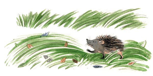 Иллюстрация к книге — Сказки зайца Золотое Ушко [i_015.jpg]