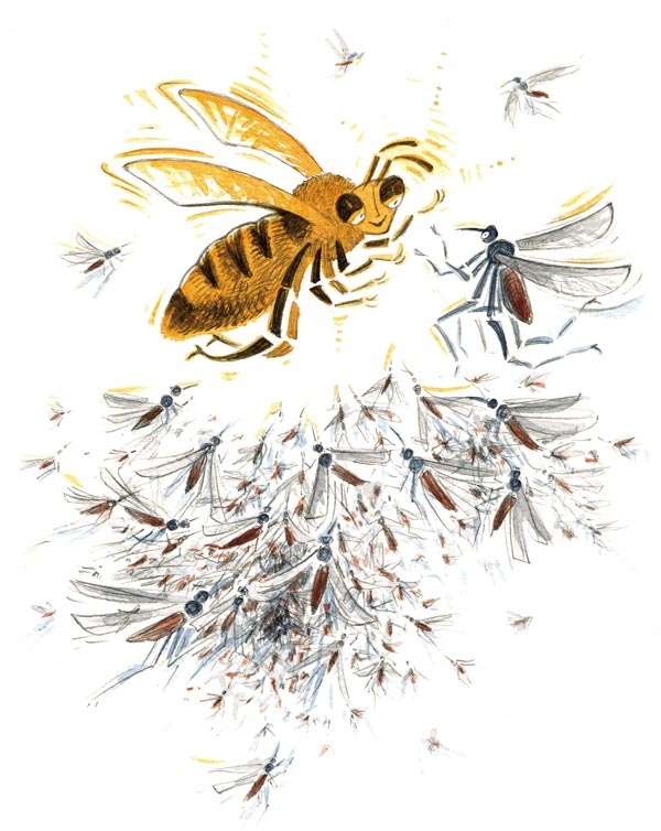 Иллюстрация к книге — Сказки зайца Золотое Ушко [i_020.jpg]