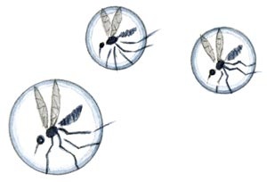 Иллюстрация к книге — Сказки зайца Золотое Ушко [i_022.jpg]