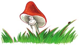 Иллюстрация к книге — Сказки зайца Золотое Ушко [i_023.jpg]